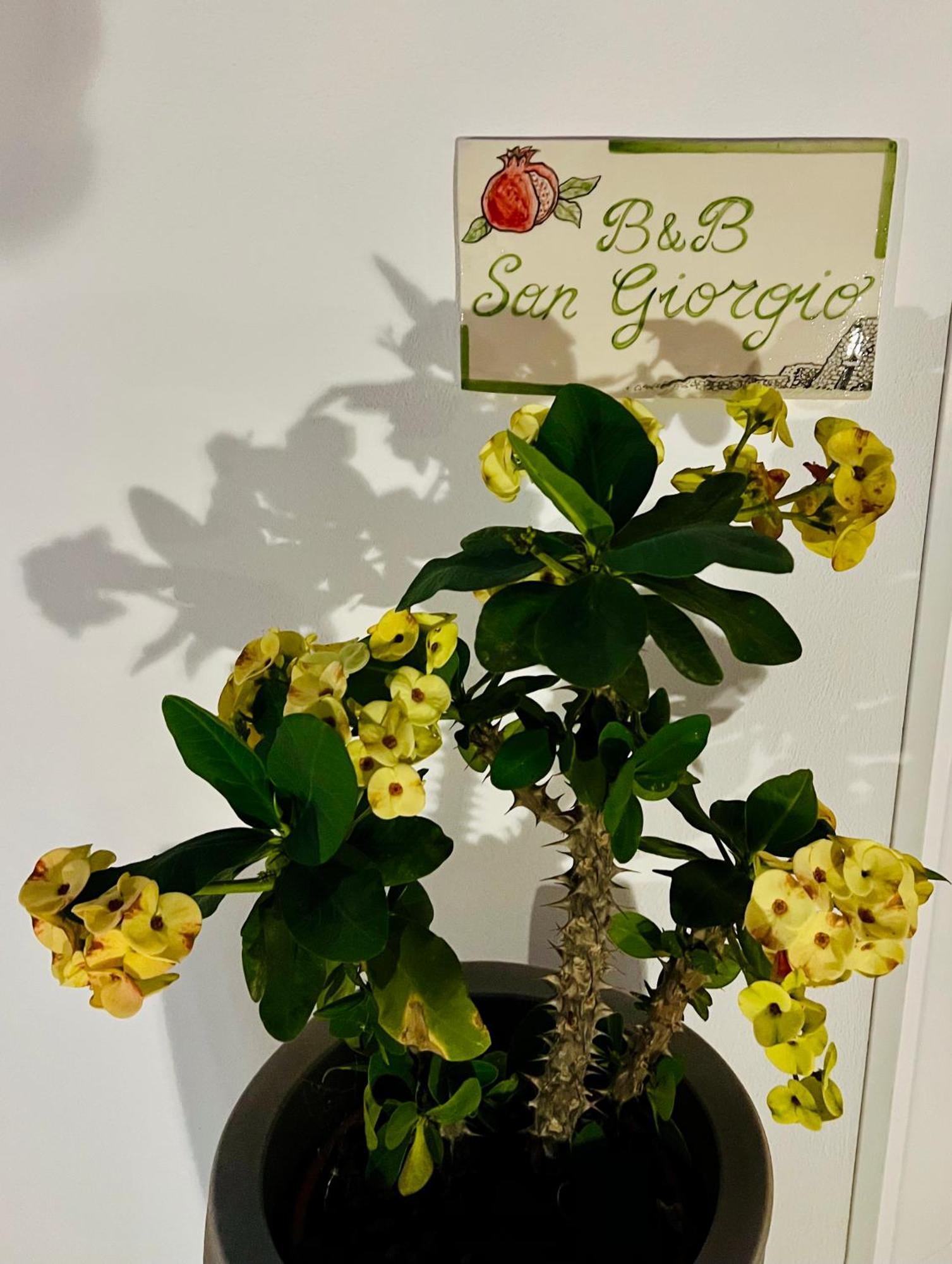 B&B Sangiorgio Borgagne Buitenkant foto